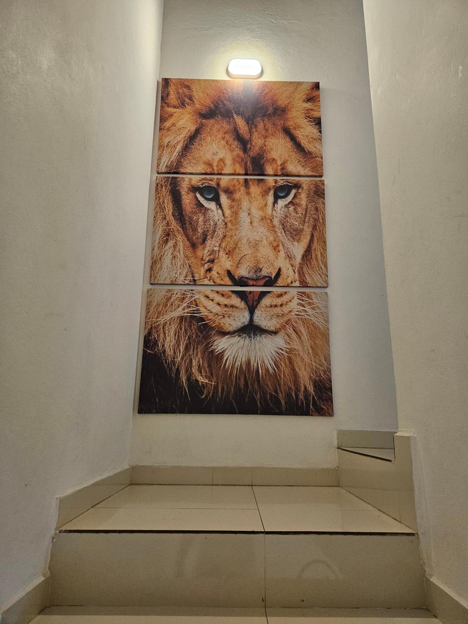 فيلا Casa Girassol باراتي المظهر الخارجي الصورة